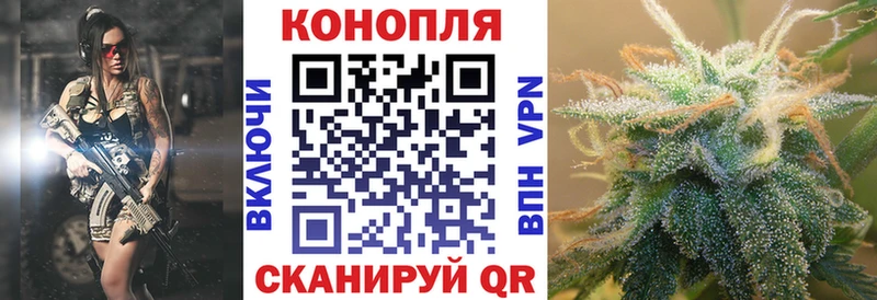 Купить закладку Лесной COCAIN  Меф мяу мяу  А ПВП  Канабис 