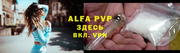 прущие грибы Зерноград