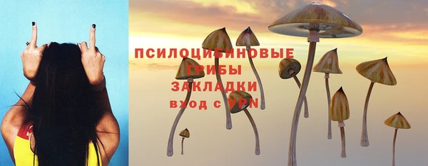 шишки Алексеевка