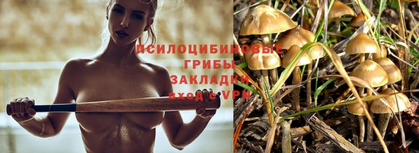 шишки Алексеевка