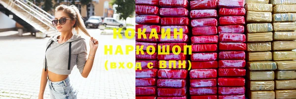 шишки Алексеевка