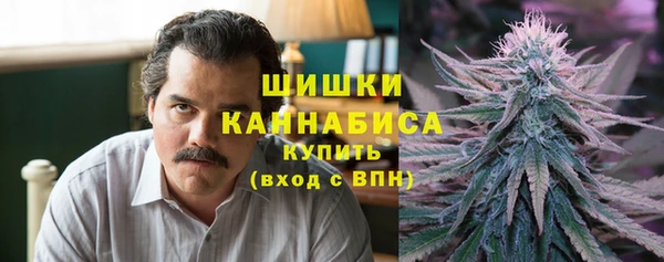 СК Дмитров