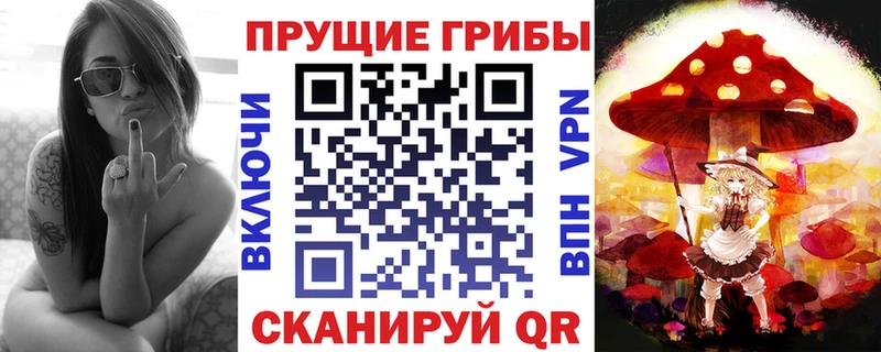 OMG сайт  shop формула  Галлюциногенные грибы прущие грибы  цена   Лесной 