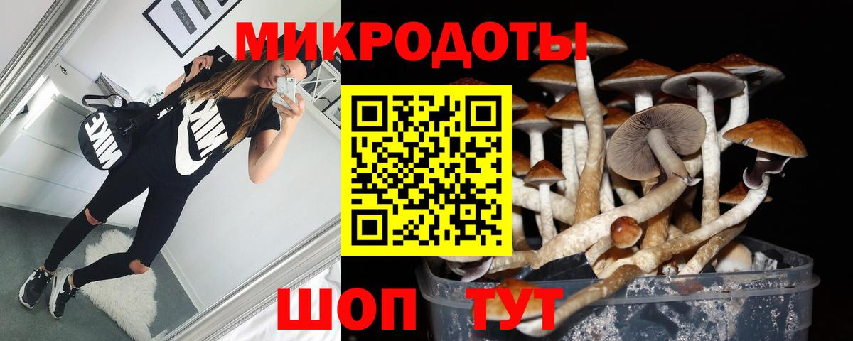 Псилоцибиновые грибы Psilocybine cubensis Лесной