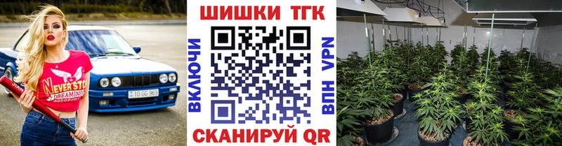Конопля гибрид  omg ССЫЛКА  Лесной 